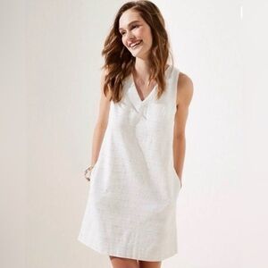 LOFT White Textured Swiss Dot V-Neck Dress — NWT 14 Plus